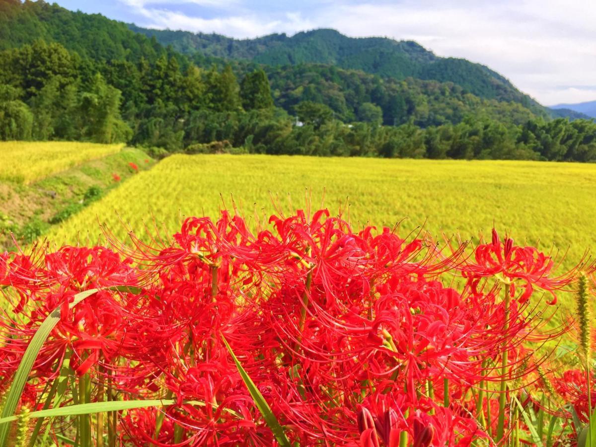 Nature Resort In Shimanto Funato  Exterior photo